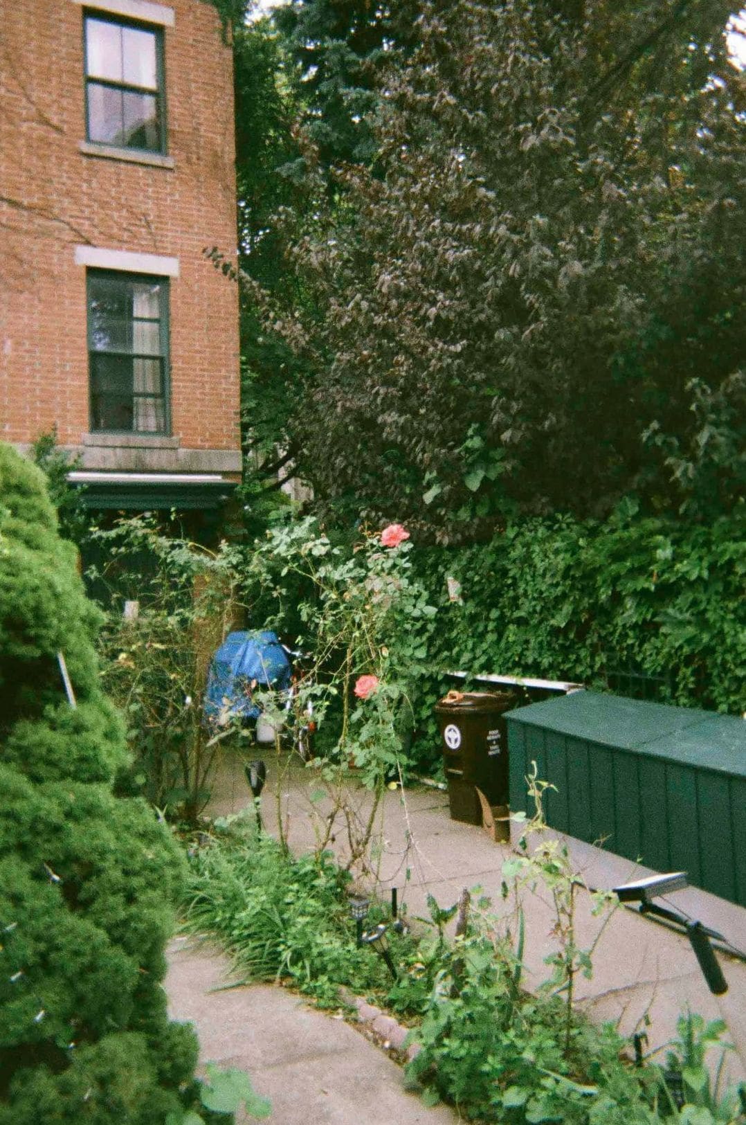植木の剪定はいつがいい?季節ごとの考え方